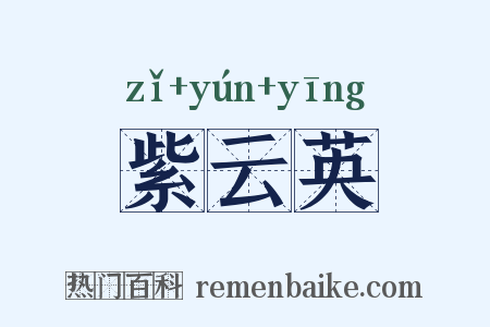 紫云英是什么意思的图片